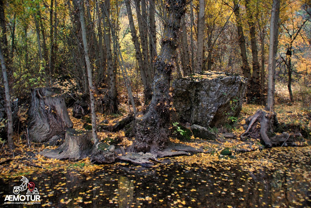 ¿Naturaleza muerta? No siempre lo parece...